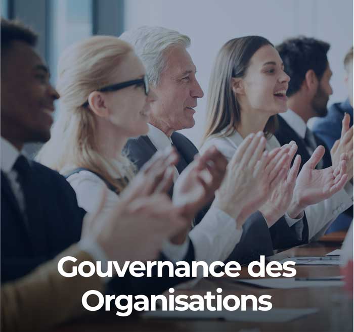 Gouvernance des organisations